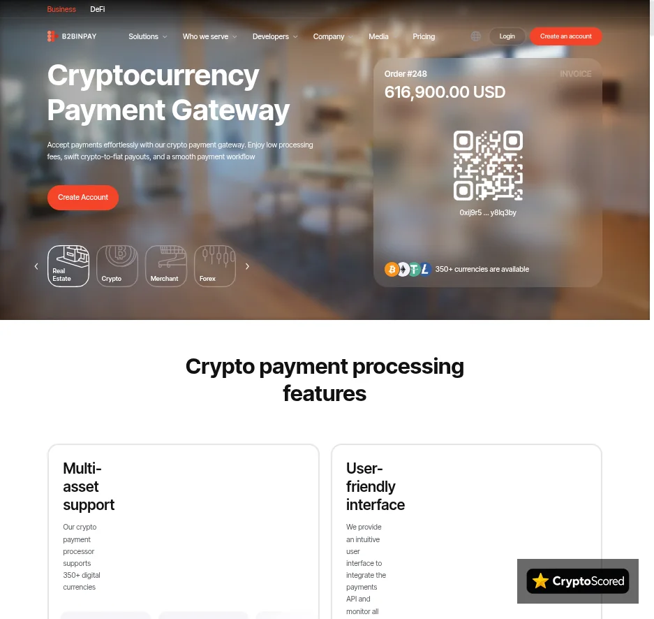 B2BINPAY website preview