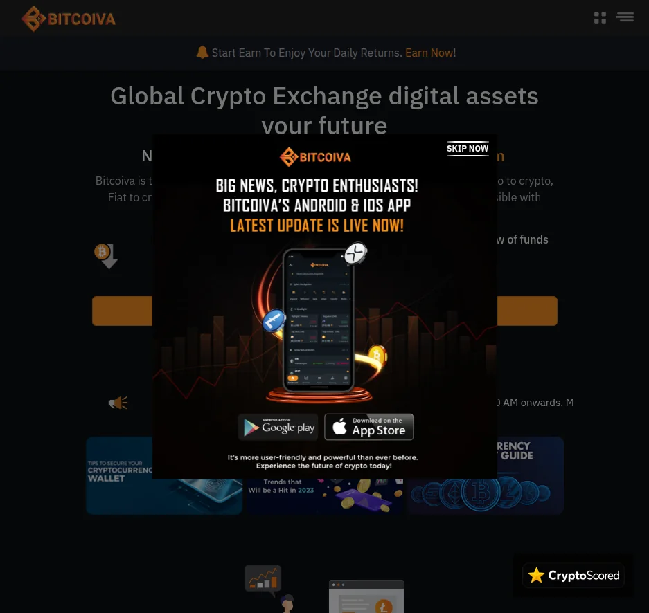 Bitcoiva website preview