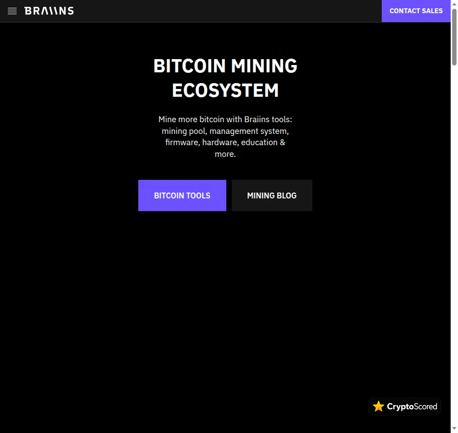 Braiins Pool website preview