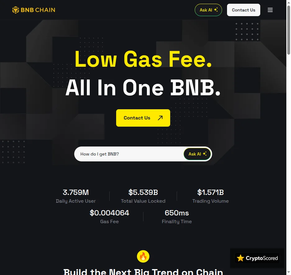 BSC website preview