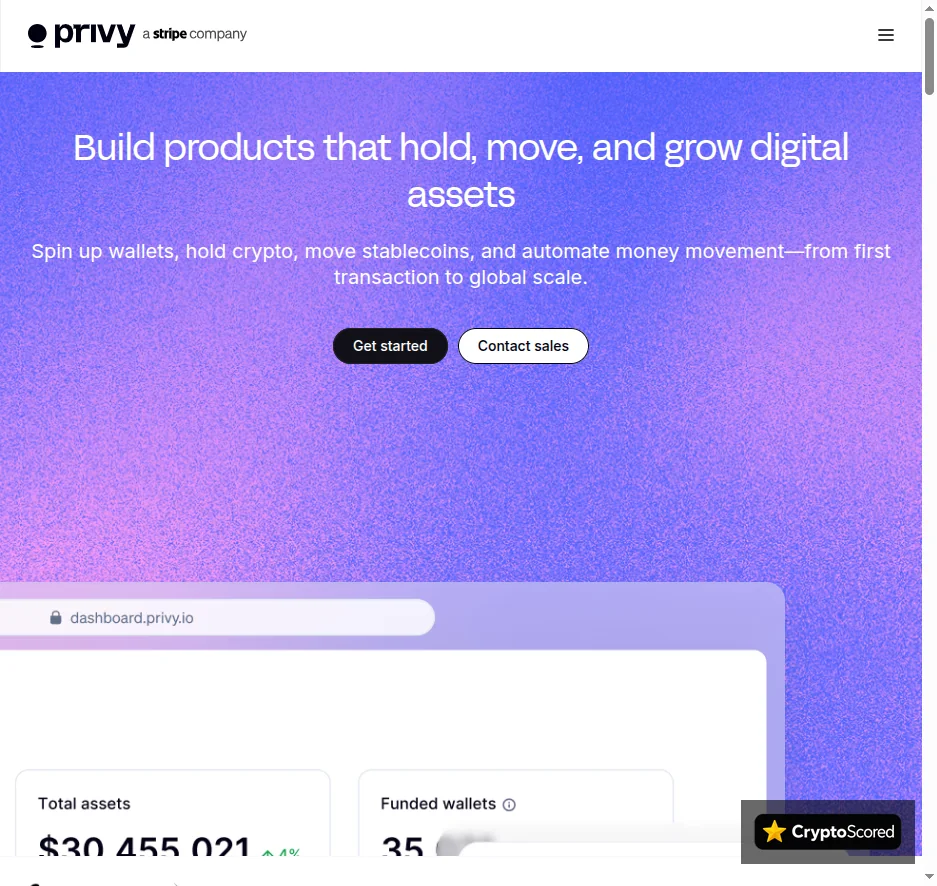 Privy website preview