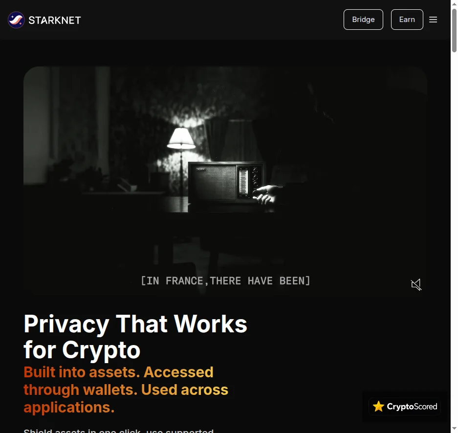 StarkNet website preview