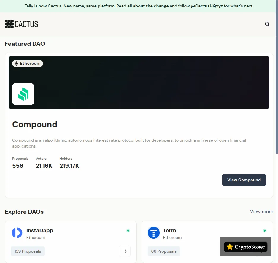 Tally website preview