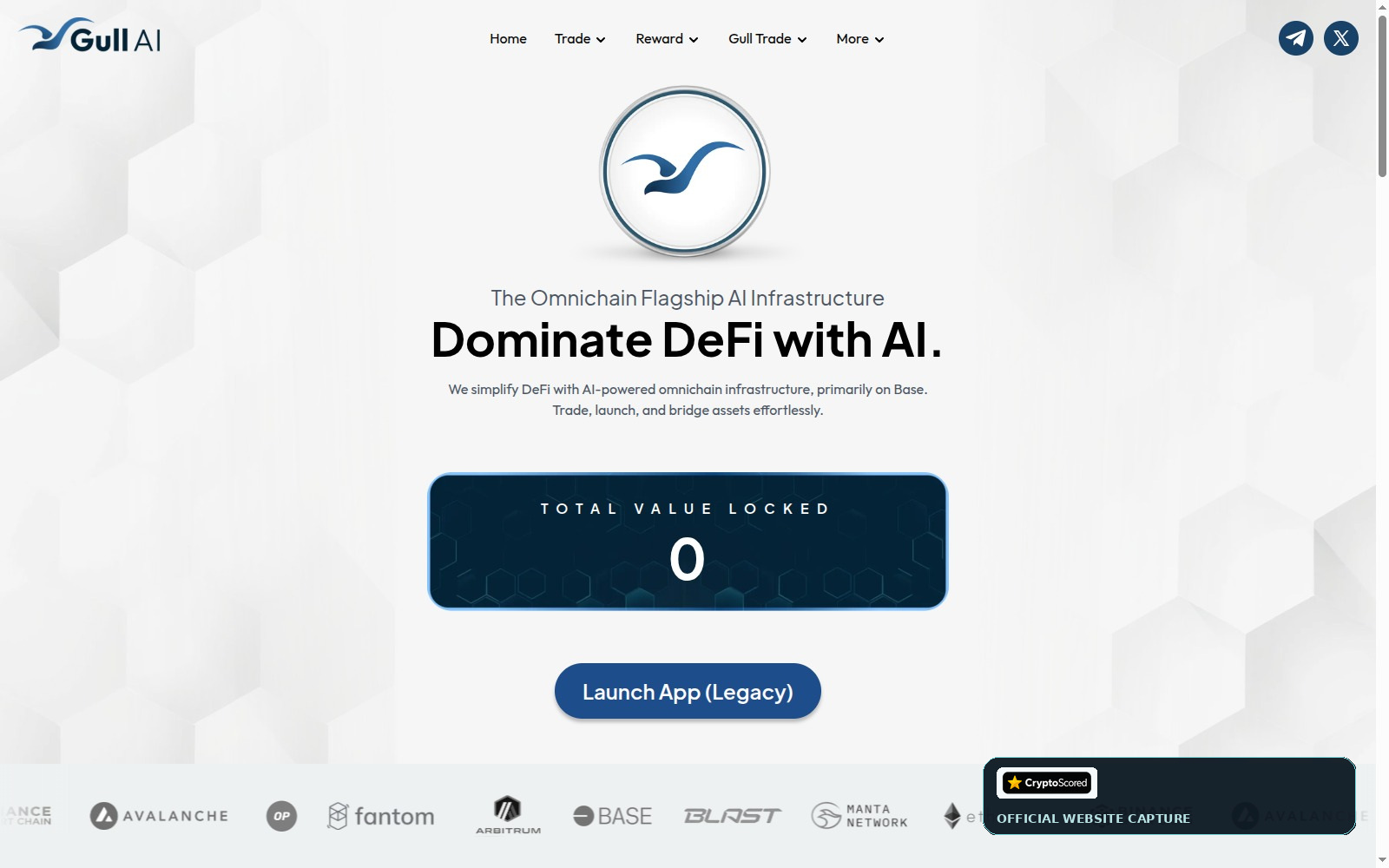 Gull Network website preview