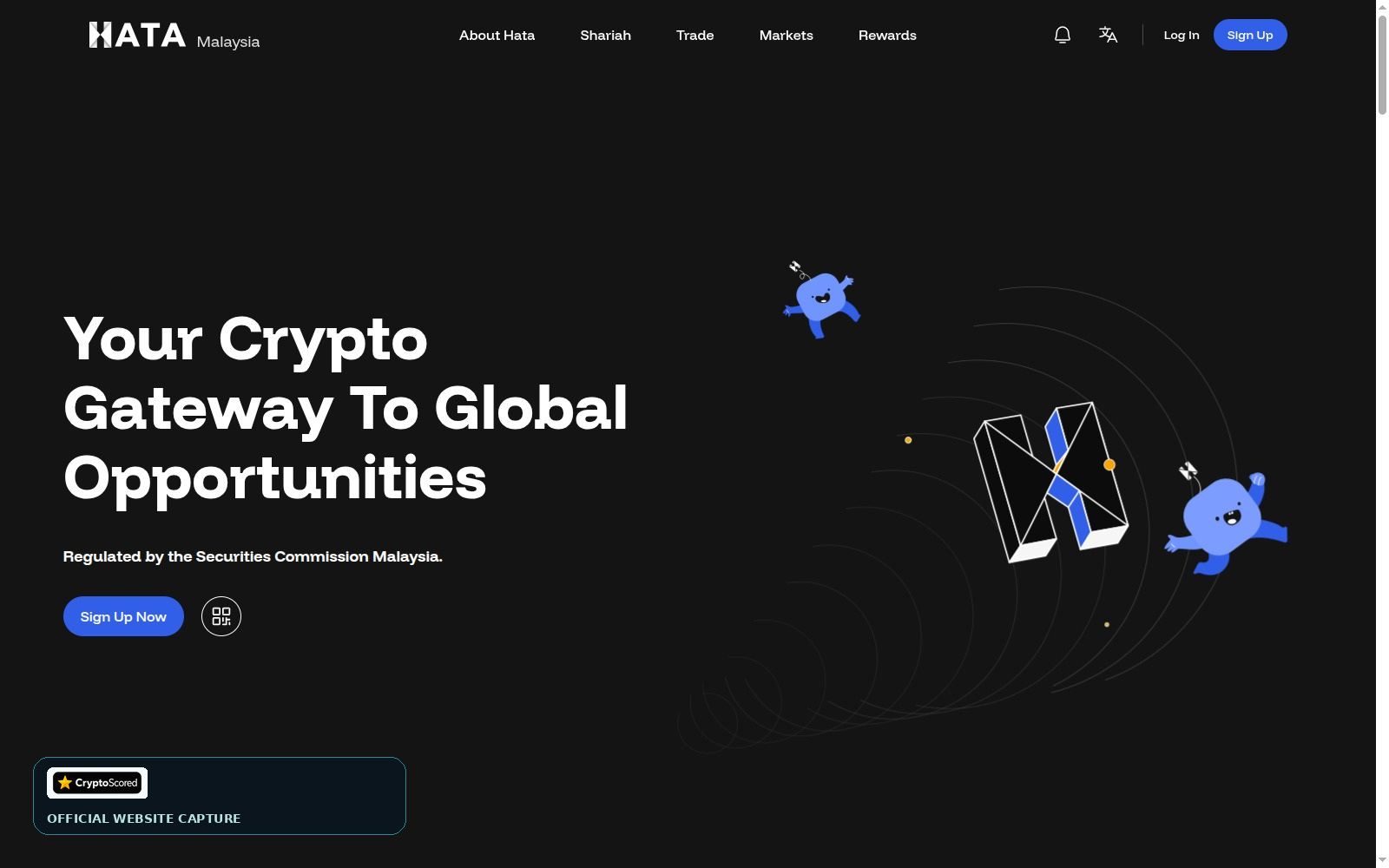 Hata website preview