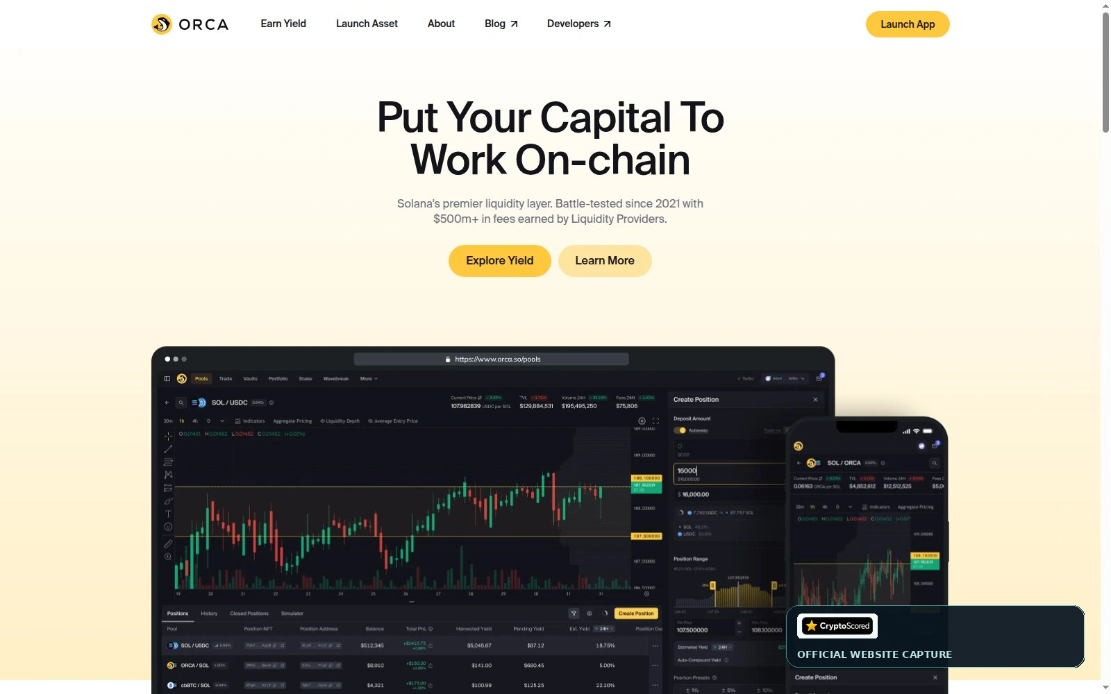 Orca website preview