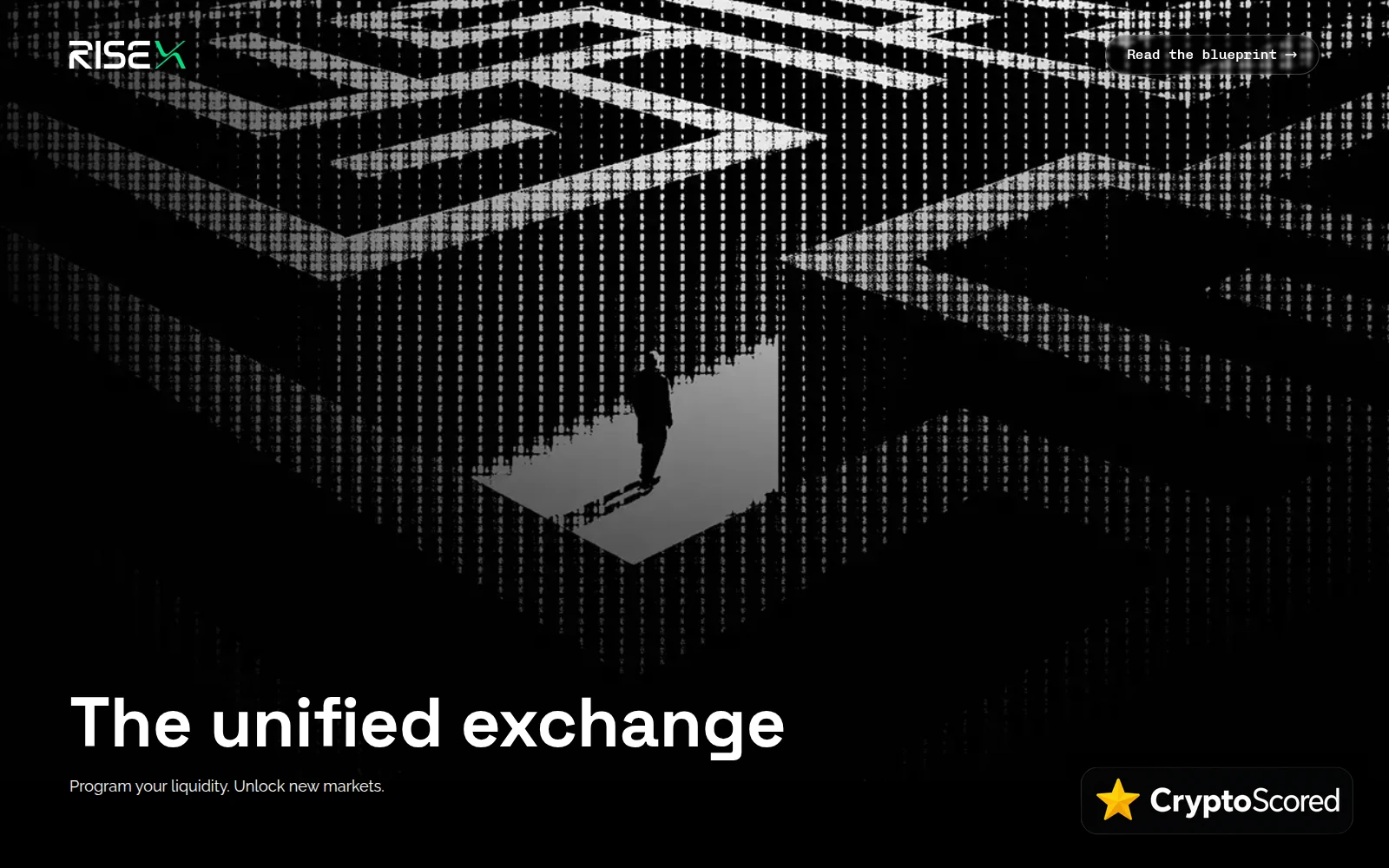RISEx website preview