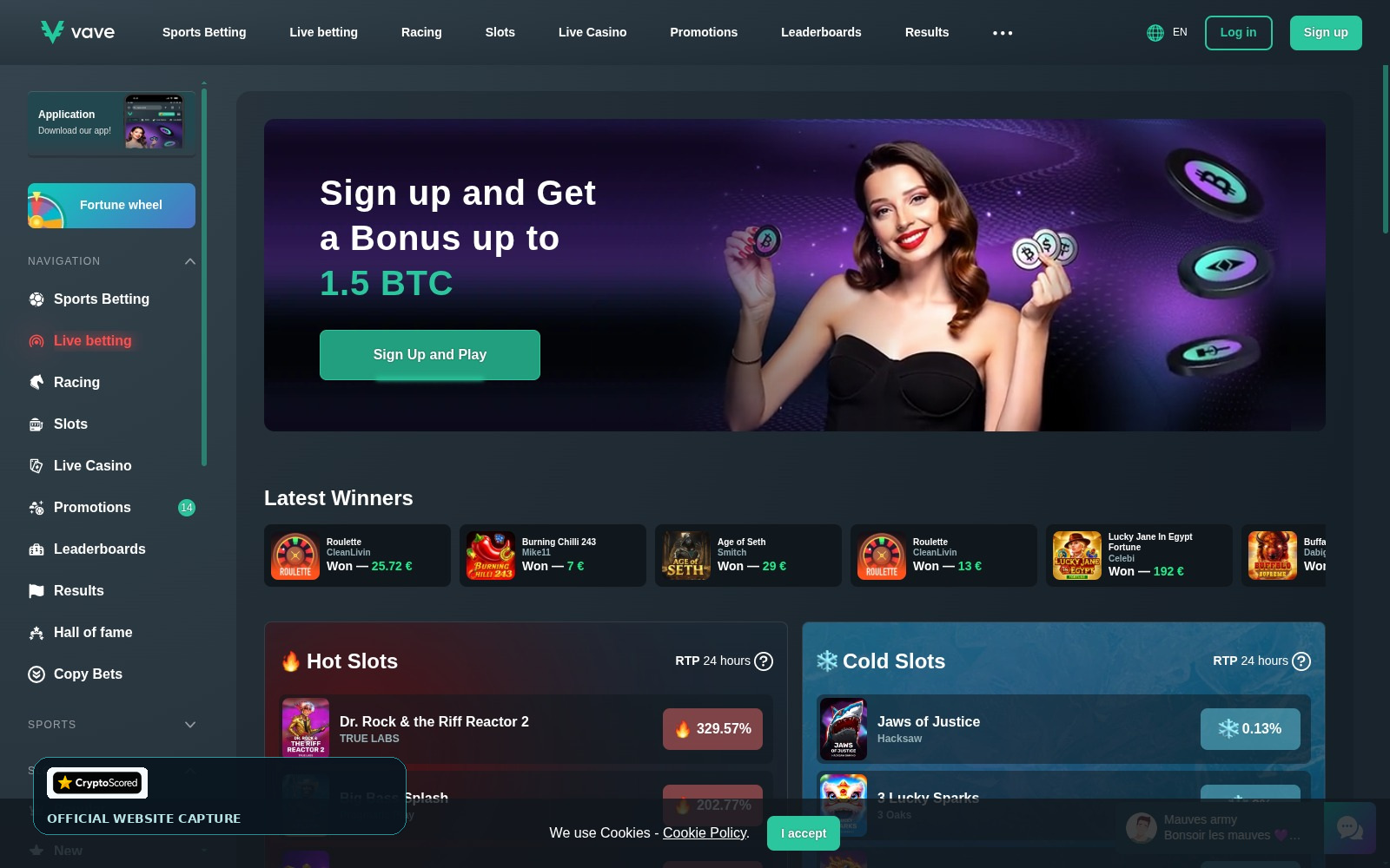 Vave website preview