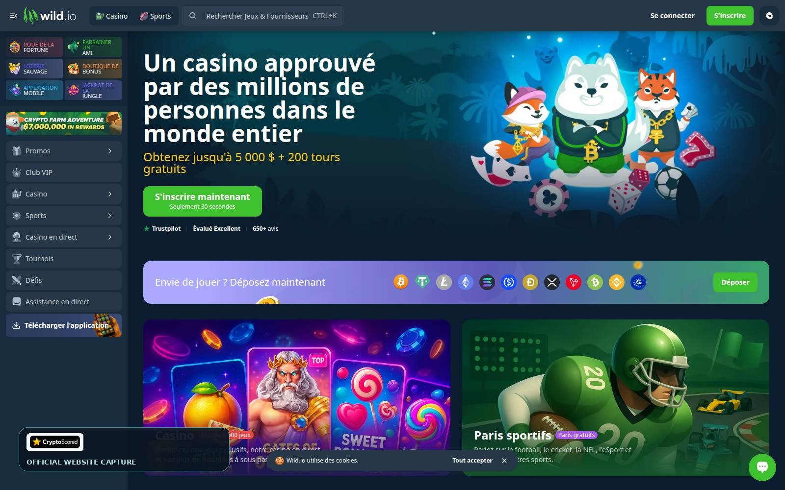 Wild.io website preview