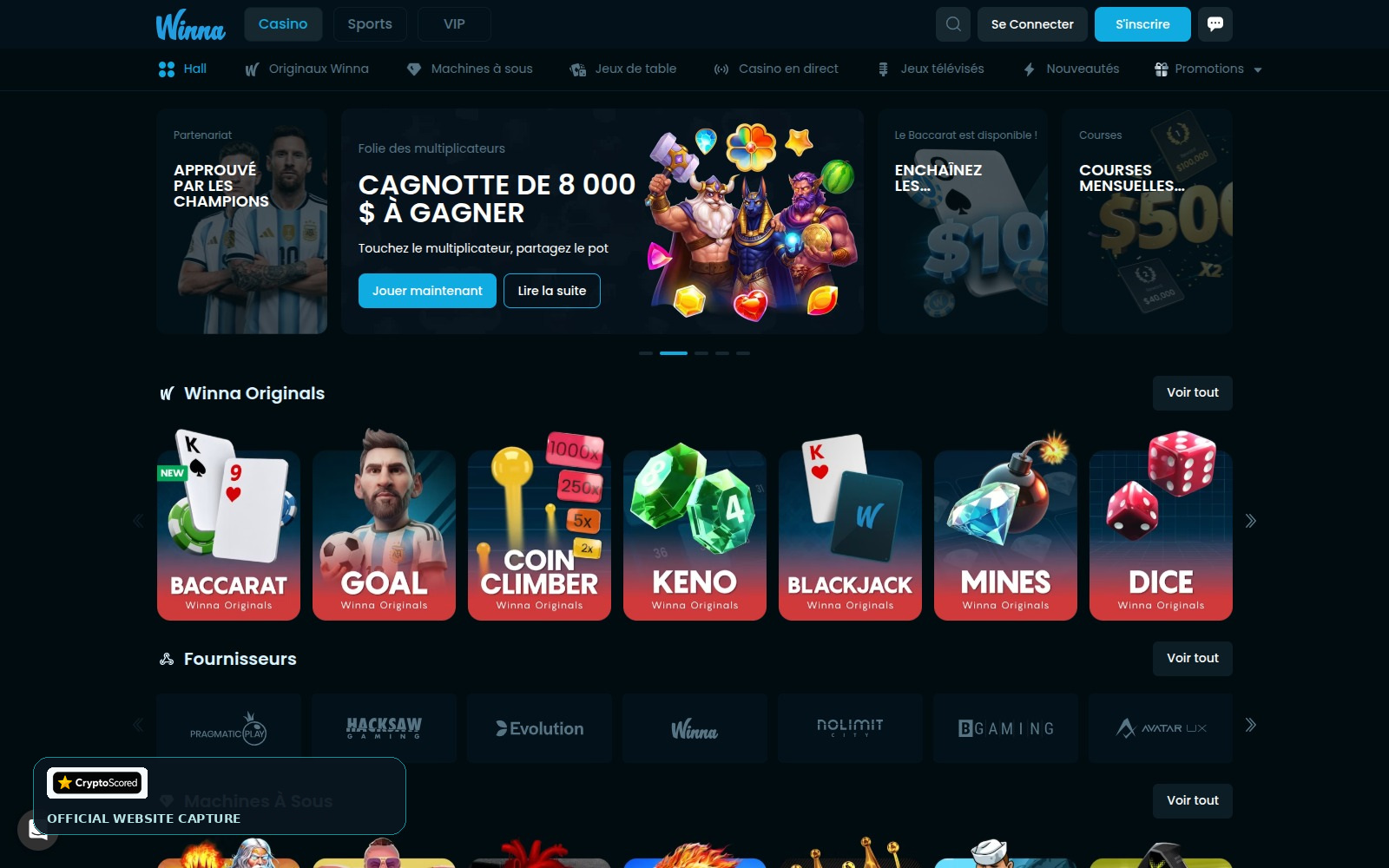 Winna website preview